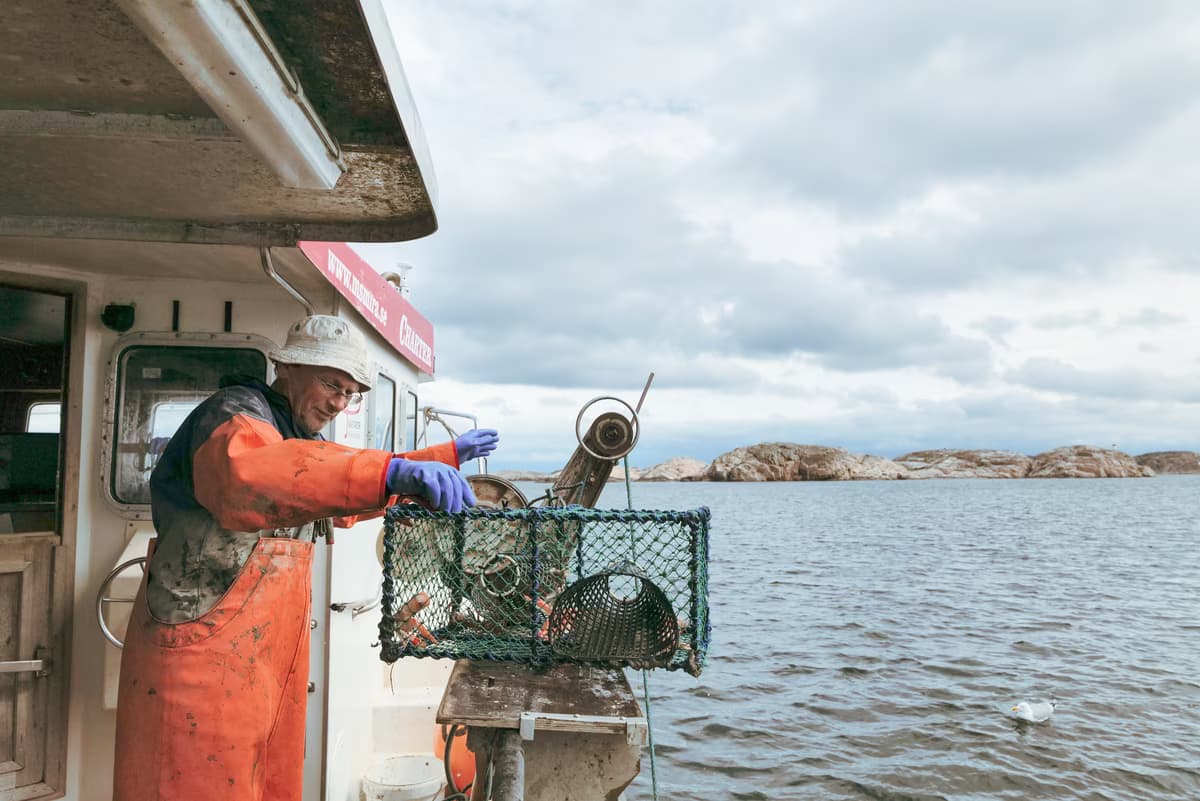 Bli fiskare för en dag