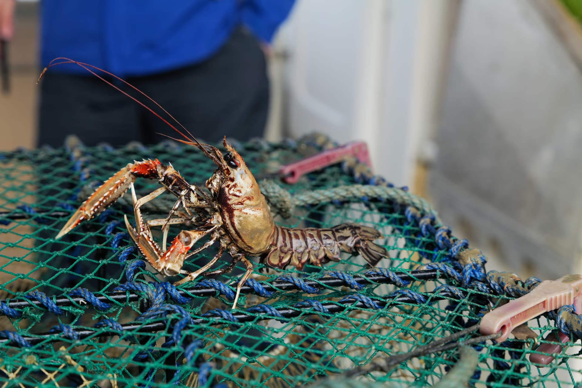 Vy över Fjällbackas hamn och skärgård